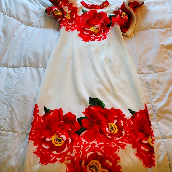 Dress - Picture 3 of 4